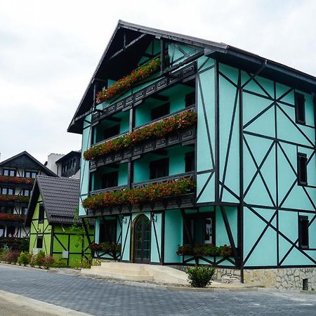 Vila Alsace Podu' Cu Lanturi 巴克乌 外观 照片
